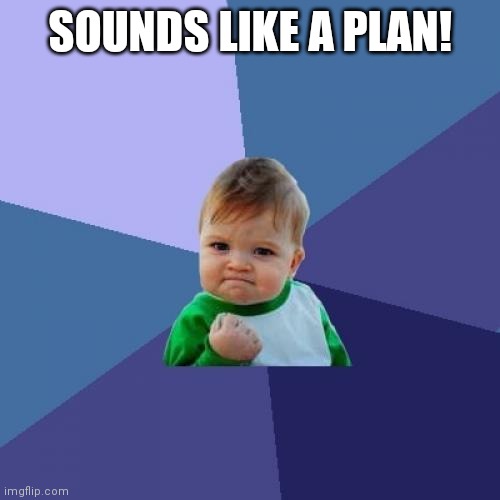 Success Kid Meme | SOUNDS LIKE A PLAN! | image tagged in memes,success kid | made w/ Imgflip meme maker