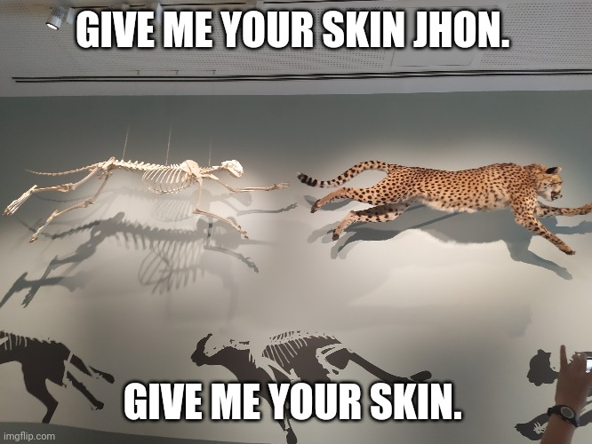 I went to a museum today. | GIVE ME YOUR SKIN JHON. GIVE ME YOUR SKIN. | image tagged in memes,skin,funny,skeleton,animals,science | made w/ Imgflip meme maker