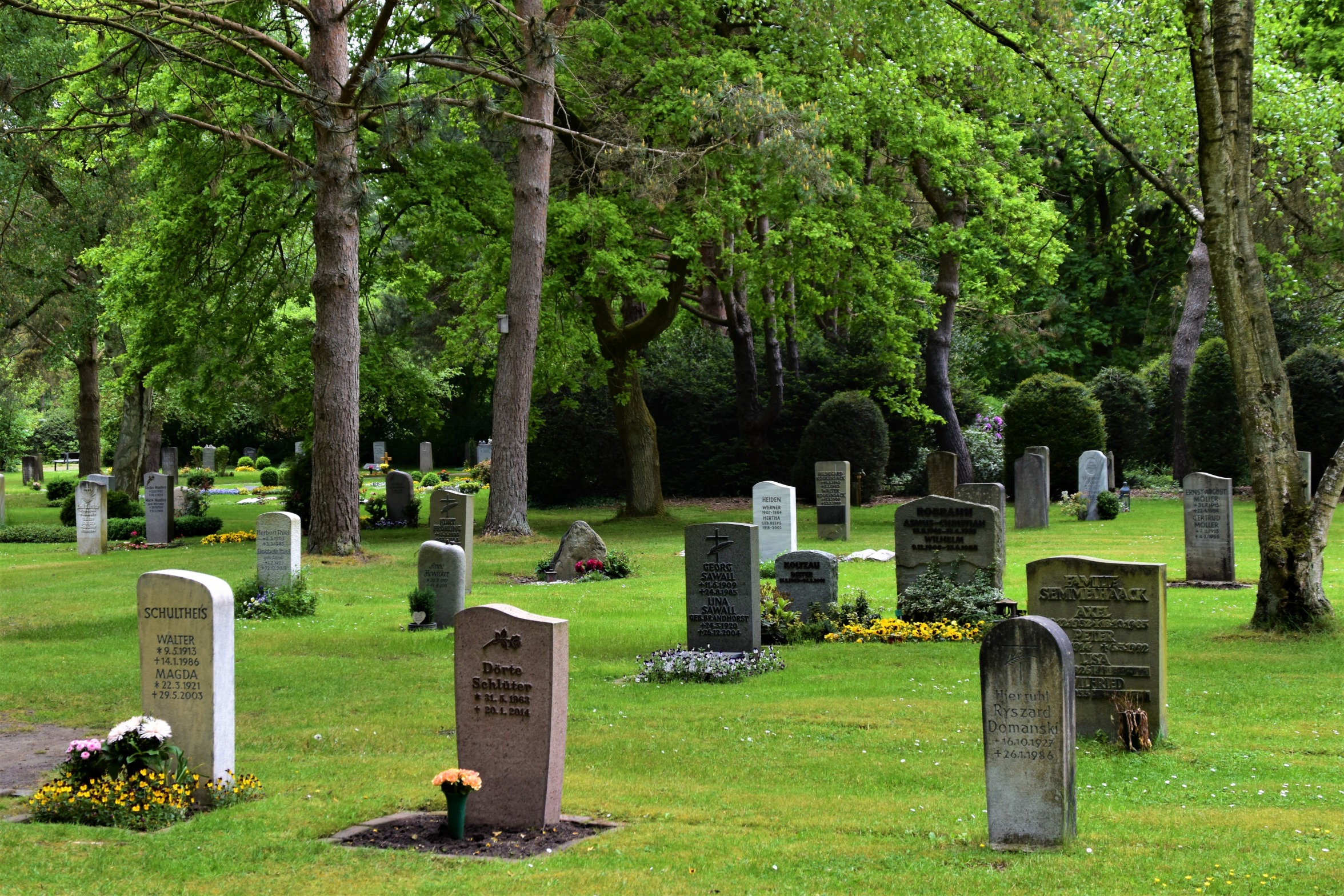 High Quality cemetery Blank Meme Template