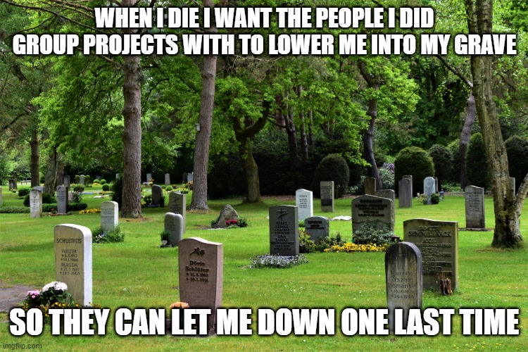 When I die | WHEN I DIE I WANT THE PEOPLE I DID GROUP PROJECTS WITH TO LOWER ME INTO MY GRAVE; SO THEY CAN LET ME DOWN ONE LAST TIME | image tagged in cemetery | made w/ Imgflip meme maker