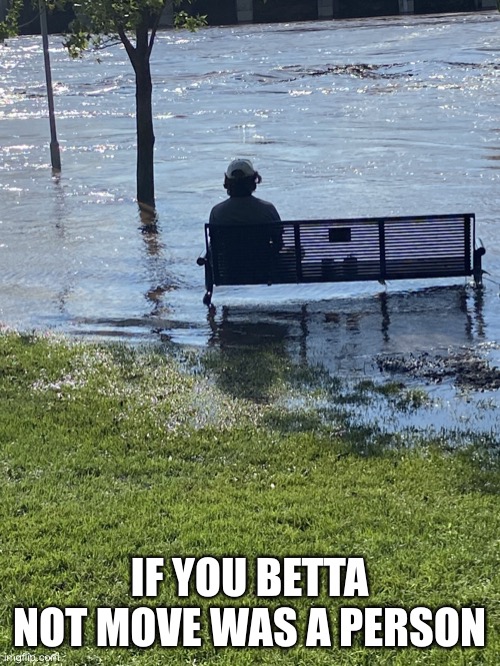 Bench | IF YOU BETTA NOT MOVE WAS A PERSON | image tagged in funny memes,memes,meme,dank,dank memes,repost | made w/ Imgflip meme maker