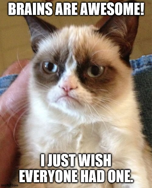 Brains are awesome | BRAINS ARE AWESOME! I JUST WISH EVERYONE HAD ONE. | image tagged in memes,grumpy cat | made w/ Imgflip meme maker