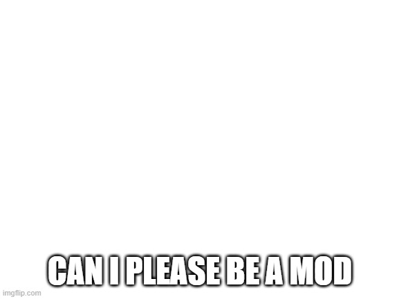 Blank White Template | CAN I PLEASE BE A MOD | image tagged in blank white template | made w/ Imgflip meme maker