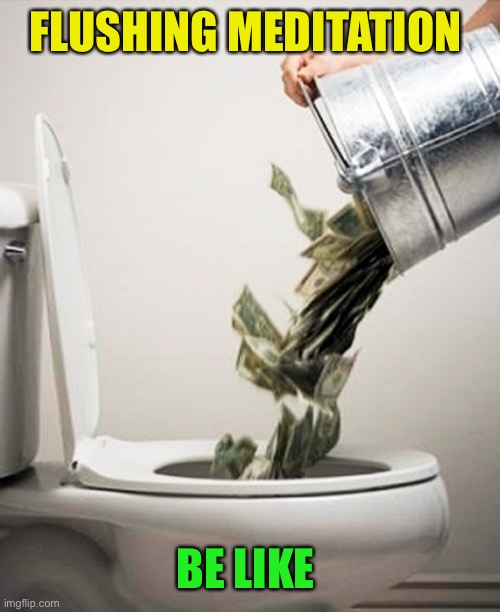 Money Down The Drain | FLUSHING MEDITATION BE LIKE | image tagged in money down the drain | made w/ Imgflip meme maker