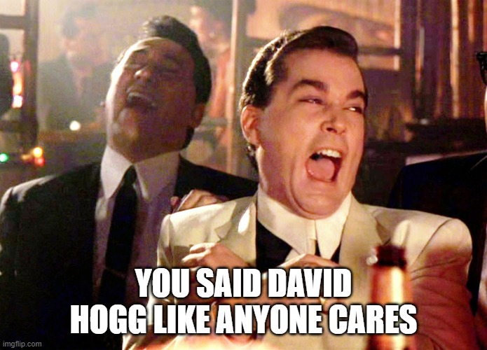 Good Fellas Hilarious Meme | YOU SAID DAVID HOGG LIKE ANYONE CARES | image tagged in memes,good fellas hilarious | made w/ Imgflip meme maker