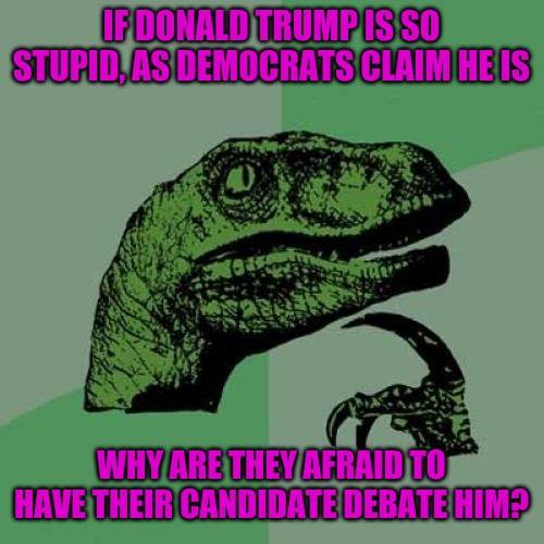 C'mon, Joe says he's ready. Quit stalling. | IF DONALD TRUMP IS SO STUPID, AS DEMOCRATS CLAIM HE IS; WHY ARE THEY AFRAID TO HAVE THEIR CANDIDATE DEBATE HIM? | image tagged in memes,philosoraptor | made w/ Imgflip meme maker