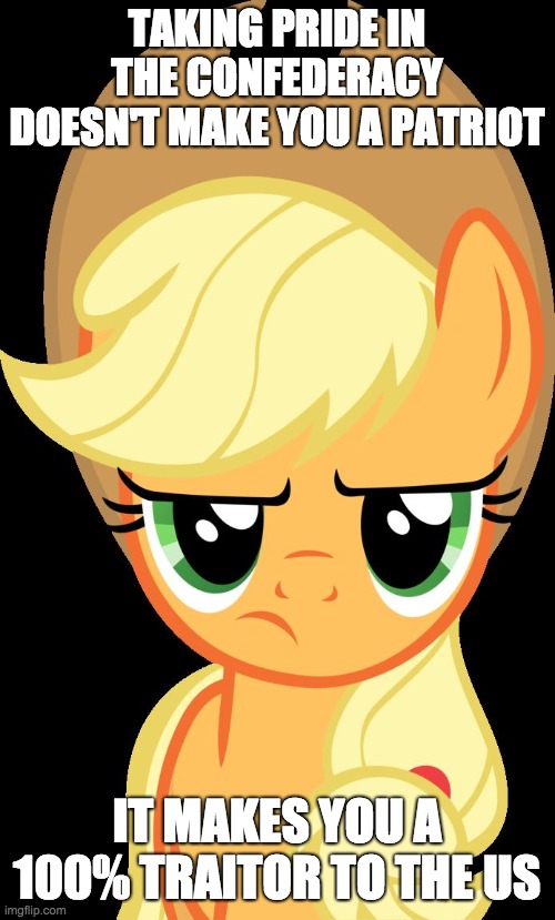 Applejack is not amused | TAKING PRIDE IN THE CONFEDERACY DOESN'T MAKE YOU A PATRIOT IT MAKES YOU A 100% TRAITOR TO THE US | image tagged in applejack is not amused | made w/ Imgflip meme maker