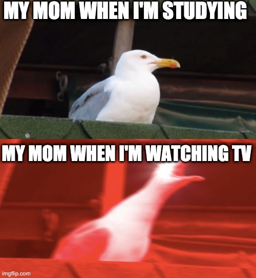 this is true | MY MOM WHEN I'M STUDYING; MY MOM WHEN I'M WATCHING TV | image tagged in funny meme,memes | made w/ Imgflip meme maker