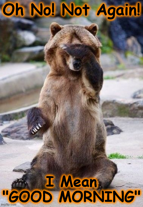 bear | Oh No! Not Again! I Mean "GOOD MORNING" | image tagged in bear | made w/ Imgflip meme maker