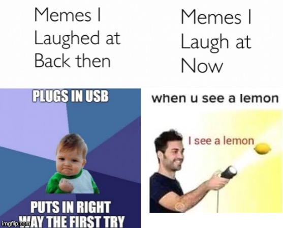 No | image tagged in memes i laughed at then vs memes i laugh at now,i see a lemon,memes | made w/ Imgflip meme maker