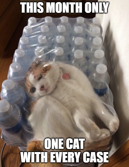 New sales spin | THIS MONTH ONLY; ONE CAT WITH EVERY CASE | image tagged in cats,memes,fun,funny,funny memes,2020 | made w/ Imgflip meme maker