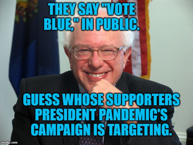 Kanye Who? | THEY SAY "VOTE BLUE," IN PUBLIC. GUESS WHOSE SUPPORTERS PRESIDENT PANDEMIC'S CAMPAIGN IS TARGETING. | image tagged in politics | made w/ Imgflip meme maker