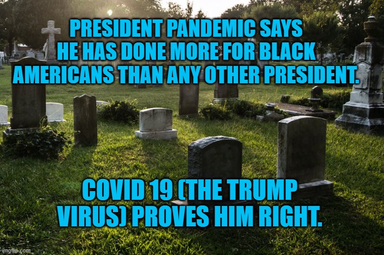 President Pandemic's Eulogy, "I did this." | PRESIDENT PANDEMIC SAYS HE HAS DONE MORE FOR BLACK AMERICANS THAN ANY OTHER PRESIDENT. COVID 19 (THE TRUMP VIRUS) PROVES HIM RIGHT. | image tagged in politics | made w/ Imgflip meme maker