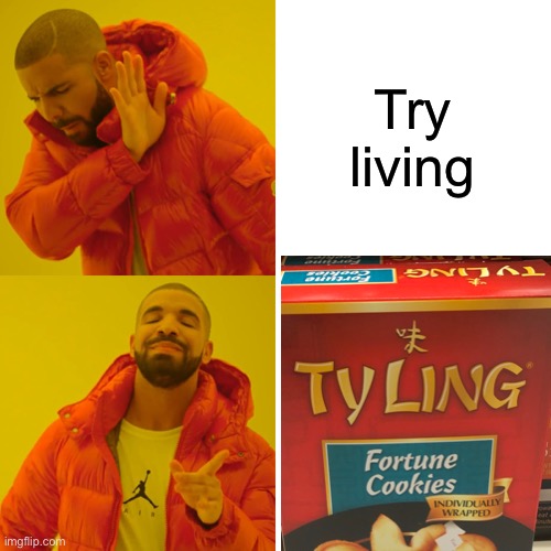 Idk what I’m doing | Try living | image tagged in memes,drake hotline bling | made w/ Imgflip meme maker