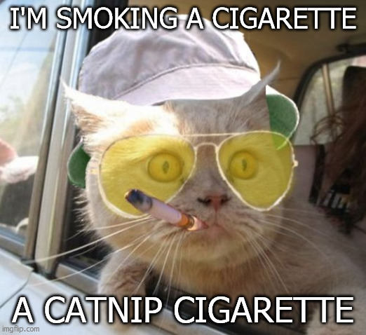 Fear And Loathing Cat | I'M SMOKING A CIGARETTE; A CATNIP CIGARETTE | image tagged in memes,fear and loathing cat | made w/ Imgflip meme maker
