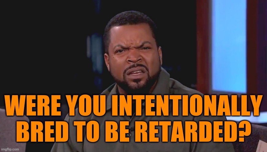 Really? Ice Cube | WERE YOU INTENTIONALLY BRED TO BE RETARDED? | image tagged in really ice cube | made w/ Imgflip meme maker