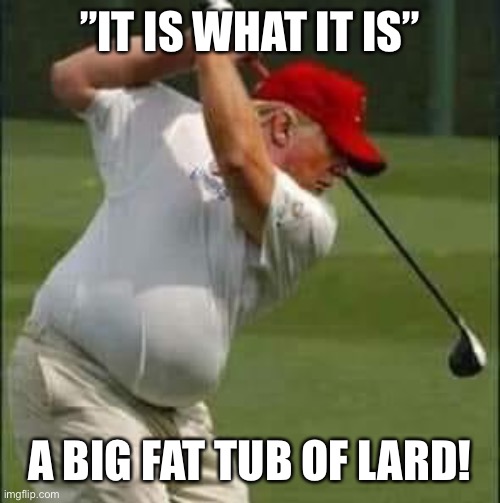 IT is what IT is! | ”IT IS WHAT IT IS”; A BIG FAT TUB OF LARD! | image tagged in donald trump,a big fat tub of lard,trump supporters,con man,deplorable donald,trump for prison 2021 | made w/ Imgflip meme maker