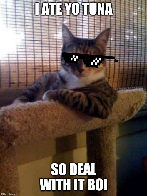 The Most Interesting Cat In The World Meme | I ATE YO TUNA; SO DEAL WITH IT BOI | image tagged in memes,the most interesting cat in the world,cats,tuna,boi,deal with it | made w/ Imgflip meme maker