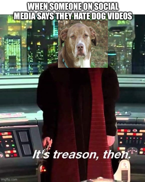 Heck you, hooman! |  WHEN SOMEONE ON SOCIAL MEDIA SAYS THEY HATE DOG VIDEOS | image tagged in its treason then,dog | made w/ Imgflip meme maker