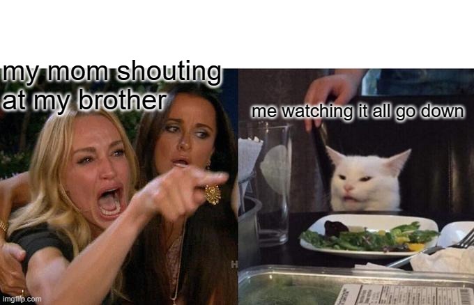 Woman Yelling At Cat Meme | my mom shouting at my brother; me watching it all go down | image tagged in memes,woman yelling at cat | made w/ Imgflip meme maker