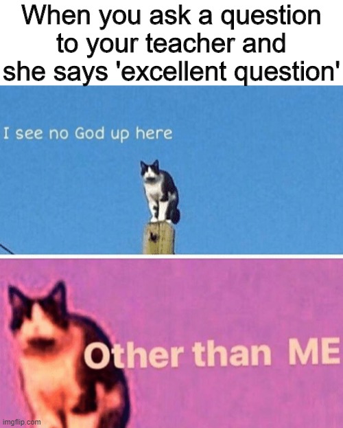 Excellent question | When you ask a question to your teacher and she says 'excellent question' | image tagged in hail pole cat,memes,funny,question,teacher | made w/ Imgflip meme maker