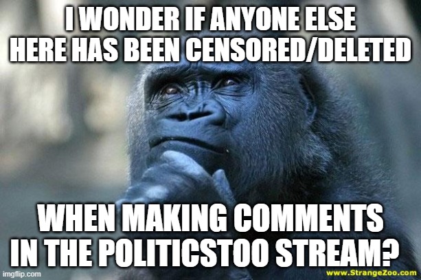 Deep Thoughts | I WONDER IF ANYONE ELSE HERE HAS BEEN CENSORED/DELETED; WHEN MAKING COMMENTS IN THE POLITICSTOO STREAM? | image tagged in deep thoughts | made w/ Imgflip meme maker