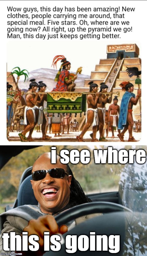 top 1/2 is a repost lol | i see where; this is going | image tagged in stevie wonder driving,i see dead people,repost,stevie wonder,sacrifice,dark humor | made w/ Imgflip meme maker