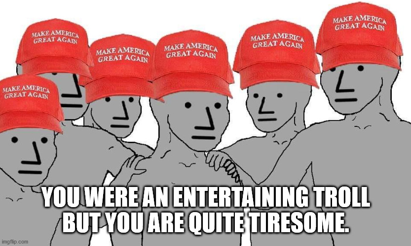 MAGA NPC | YOU WERE AN ENTERTAINING TROLL
BUT YOU ARE QUITE TIRESOME. | image tagged in maga npc | made w/ Imgflip meme maker