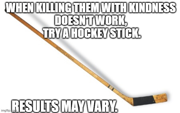  WHEN KILLING THEM WITH KINDNESS 
DOESN'T WORK, 
TRY A HOCKEY STICK. RESULTS MAY VARY. | image tagged in kindness,killing | made w/ Imgflip meme maker