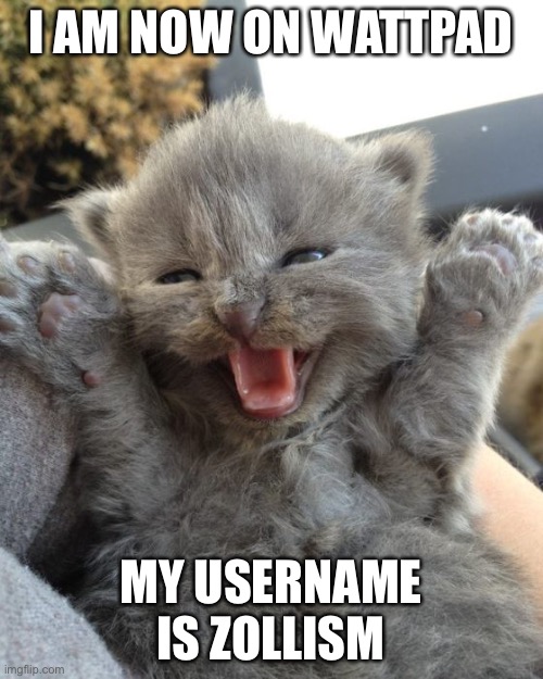Yay Kitty | I AM NOW ON WATTPAD; MY USERNAME IS ZOLLISM | image tagged in yay kitty | made w/ Imgflip meme maker