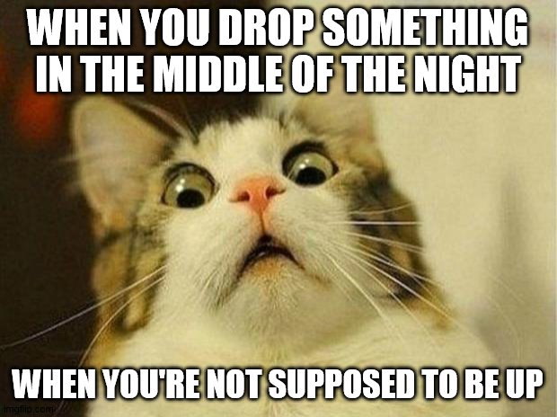 Scared Cat Meme | WHEN YOU DROP SOMETHING IN THE MIDDLE OF THE NIGHT; WHEN YOU'RE NOT SUPPOSED TO BE UP | image tagged in memes,scared cat | made w/ Imgflip meme maker