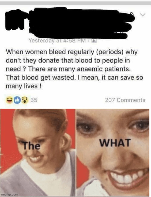 i refuse to believe this person was serious | image tagged in the what woman,periods,sex,blood,wut,the what | made w/ Imgflip meme maker