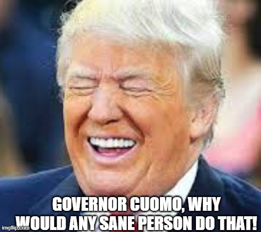 GOVERNOR CUOMO, WHY WOULD ANY SANE PERSON DO THAT! | made w/ Imgflip meme maker