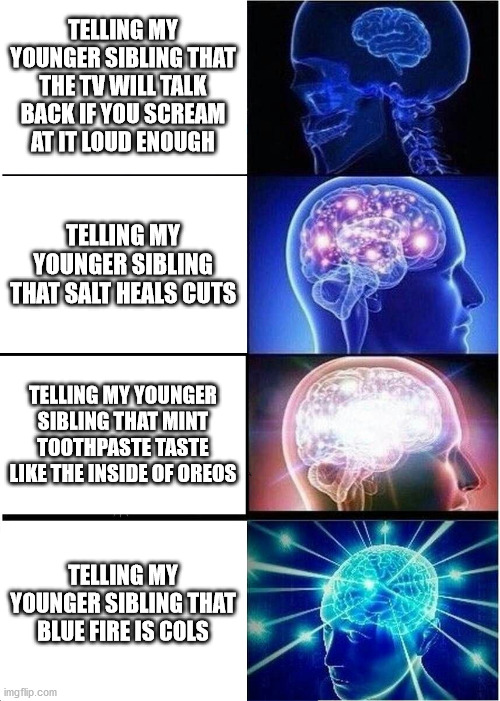 Expanding Brain | TELLING MY YOUNGER SIBLING THAT THE TV WILL TALK BACK IF YOU SCREAM AT IT LOUD ENOUGH; TELLING MY YOUNGER SIBLING THAT SALT HEALS CUTS; TELLING MY YOUNGER SIBLING THAT MINT TOOTHPASTE TASTE LIKE THE INSIDE OF OREOS; TELLING MY YOUNGER SIBLING THAT BLUE FIRE IS COLS | image tagged in memes,expanding brain | made w/ Imgflip meme maker