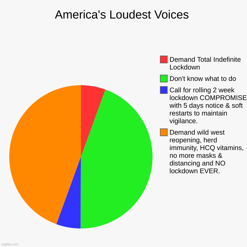 Murica's Problem | America's Loudest Voices | Demand wild west reopening, herd immunity, HCQ vitamins, no more masks & distancing and NO lockdown EVER., Call f | image tagged in charts,pie charts,covid-19 | made w/ Imgflip chart maker