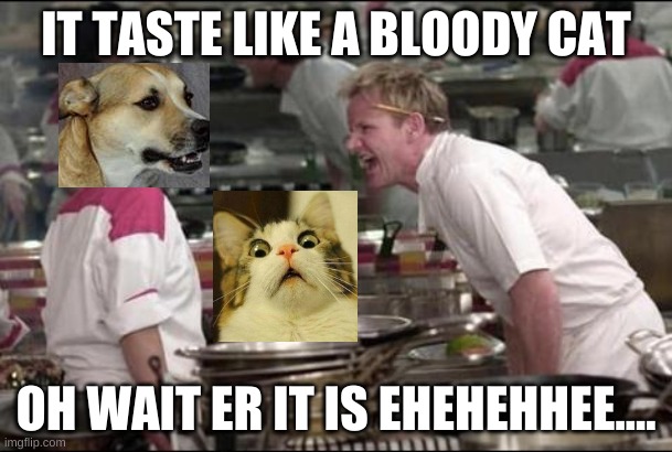 Angry Chef Gordon Ramsay | IT TASTE LIKE A BLOODY CAT; OH WAIT ER IT IS EHEHEHHEE.... | image tagged in memes,angry chef gordon ramsay | made w/ Imgflip meme maker