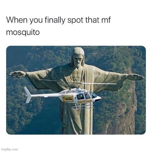 haaaaaah | image tagged in mosquito,mosquitoes,helicopter,statues,statue,reposts are awesome | made w/ Imgflip meme maker