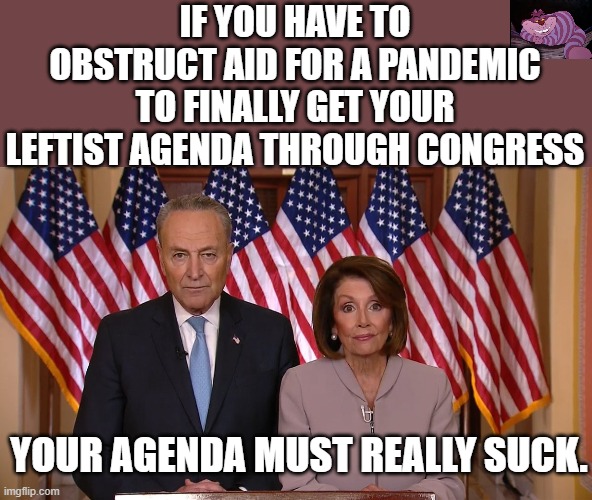 They don't care about you, they only care about power. | IF YOU HAVE TO OBSTRUCT AID FOR A PANDEMIC TO FINALLY GET YOUR LEFTIST AGENDA THROUGH CONGRESS; YOUR AGENDA MUST REALLY SUCK. | image tagged in chuck and nancy | made w/ Imgflip meme maker