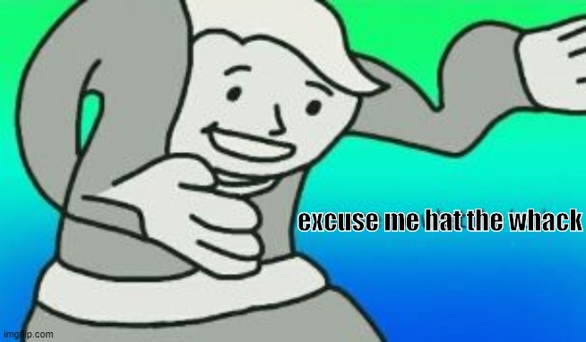 Excuse Me What The Heck | excuse me hat the whack | image tagged in excuse me what the heck | made w/ Imgflip meme maker