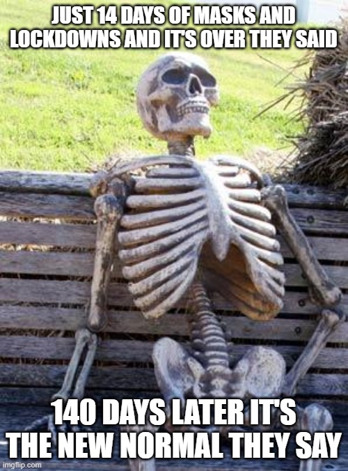Waiting Skeleton | JUST 14 DAYS OF MASKS AND LOCKDOWNS AND IT'S OVER THEY SAID; 140 DAYS LATER IT'S THE NEW NORMAL THEY SAY | image tagged in memes,waiting skeleton | made w/ Imgflip meme maker