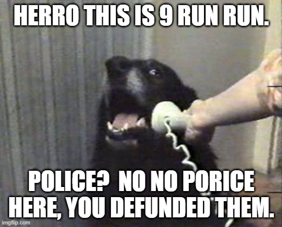 hello this is dog | HERRO THIS IS 9 RUN RUN. POLICE?  NO NO PORICE HERE, YOU DEFUNDED THEM. | image tagged in hello this is dog | made w/ Imgflip meme maker