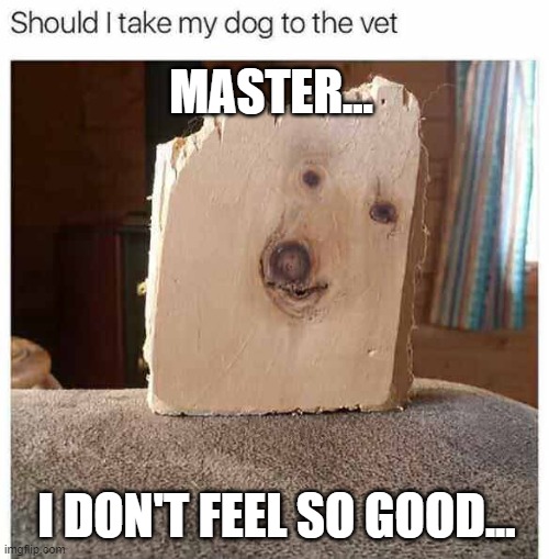 Dogwood | MASTER... I DON'T FEEL SO GOOD... | image tagged in dogwood | made w/ Imgflip meme maker