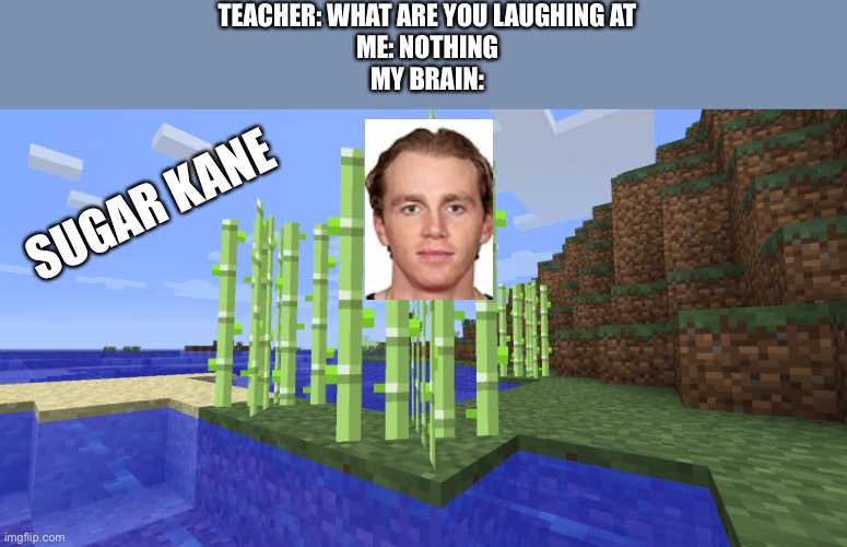 My friend thought up this one | TEACHER: WHAT ARE YOU LAUGHING AT
ME: NOTHING
MY BRAIN:; SUGAR KANE | image tagged in fun,funny,hockey,teachers | made w/ Imgflip meme maker