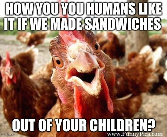 I would not like it | HOW YOU YOU HUMANS LIKE IT IF WE MADE SANDWICHES; OUT OF YOUR CHILDREN? | image tagged in chicken,i would not like it,no sandwiches anymore,free the chickens,humans are evil,eat your veggies | made w/ Imgflip meme maker