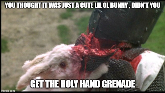 it IS the rabbit | YOU THOUGHT IT WAS JUST A CUTE LIL OL BUNNY , DIDN'T YOU; GET THE HOLY HAND GRENADE | image tagged in monty python and the holy grail,funny memes,holy grail,rabbit | made w/ Imgflip meme maker