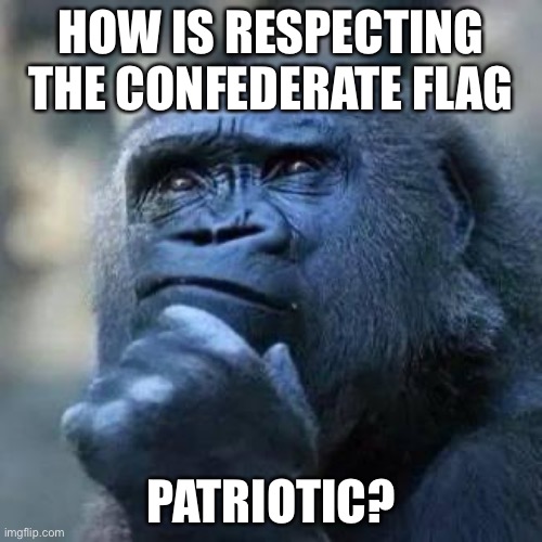 Just wondering | HOW IS RESPECTING THE CONFEDERATE FLAG; PATRIOTIC? | image tagged in thinking ape | made w/ Imgflip meme maker