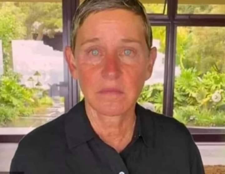 Ellen DeGeneres no make up or hair color Blank Meme Template