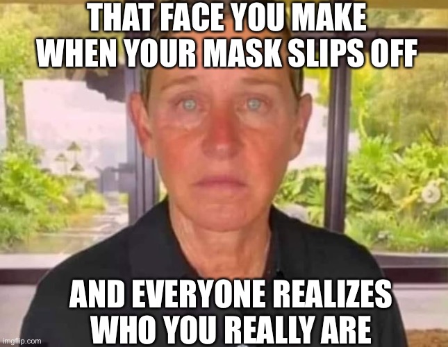 Ellen DeGeneres no make up | THAT FACE YOU MAKE WHEN YOUR MASK SLIPS OFF; AND EVERYONE REALIZES WHO YOU REALLY ARE | image tagged in ellen degeneres no make up or hair color | made w/ Imgflip meme maker