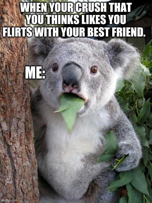 we all have had this happen | WHEN YOUR CRUSH THAT YOU THINKS LIKES YOU FLIRTS WITH YOUR BEST FRIEND. ME: | image tagged in memes,surprised koala | made w/ Imgflip meme maker