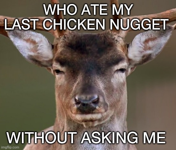 Annoyed Deer | WHO ATE MY LAST CHICKEN NUGGET; WITHOUT ASKING ME | image tagged in annoyed deer | made w/ Imgflip meme maker